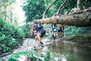 BIB: 
                            <button type="button" onclick="openModal(25443635)" class="btn btn-primary btn-sm float-right btn-popup" data-toggle="modal" data-target=".modal-high-quality">
                        <i class="fas fa-shopping-cart"></i> Add to Cart
                    </button>
                                            <button type="button" onclick="isThisMe(25443635, true)" class="btn btn-success btn-sm float-right btn-popup btn-isme hidden" data-toggle="tooltip" data-placement="bottom" title="นี่คือรูปของคุณใช่ไหม คลิกที่นี่เพื่อเอาเข้าอัลบั้ม">
                        <i class="fas fa-plus"></i> Add to album
                    </button>
                    <button type="button" onclick="isThisMe(25443635, false)" class="btn btn-warning btn-sm float-right btn-popup btn-isnotme hidden">
                        <i class="fas fa-ban"></i> Remove from album
                    </button>